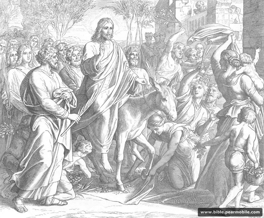 Evankeliumi Matteuksen mukaan 21:9 - Palm Sunday Entry by Jesus