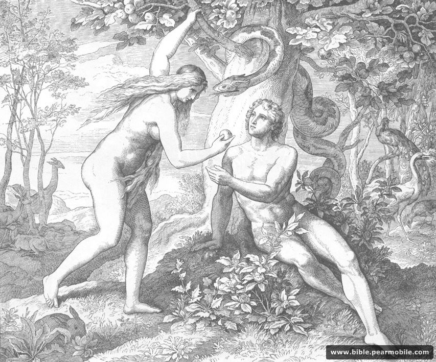 Битие 3:6 - Adam & Eve Eat Forbidden Fruit
